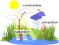 Water cycle. Scheme with water cycle evaporation, precipitation, condensation in nature for school lessons
